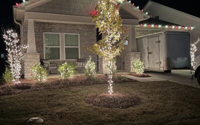 Holiday Lighting Near You: Greenville, SC’s Trusted Light Installation Experts